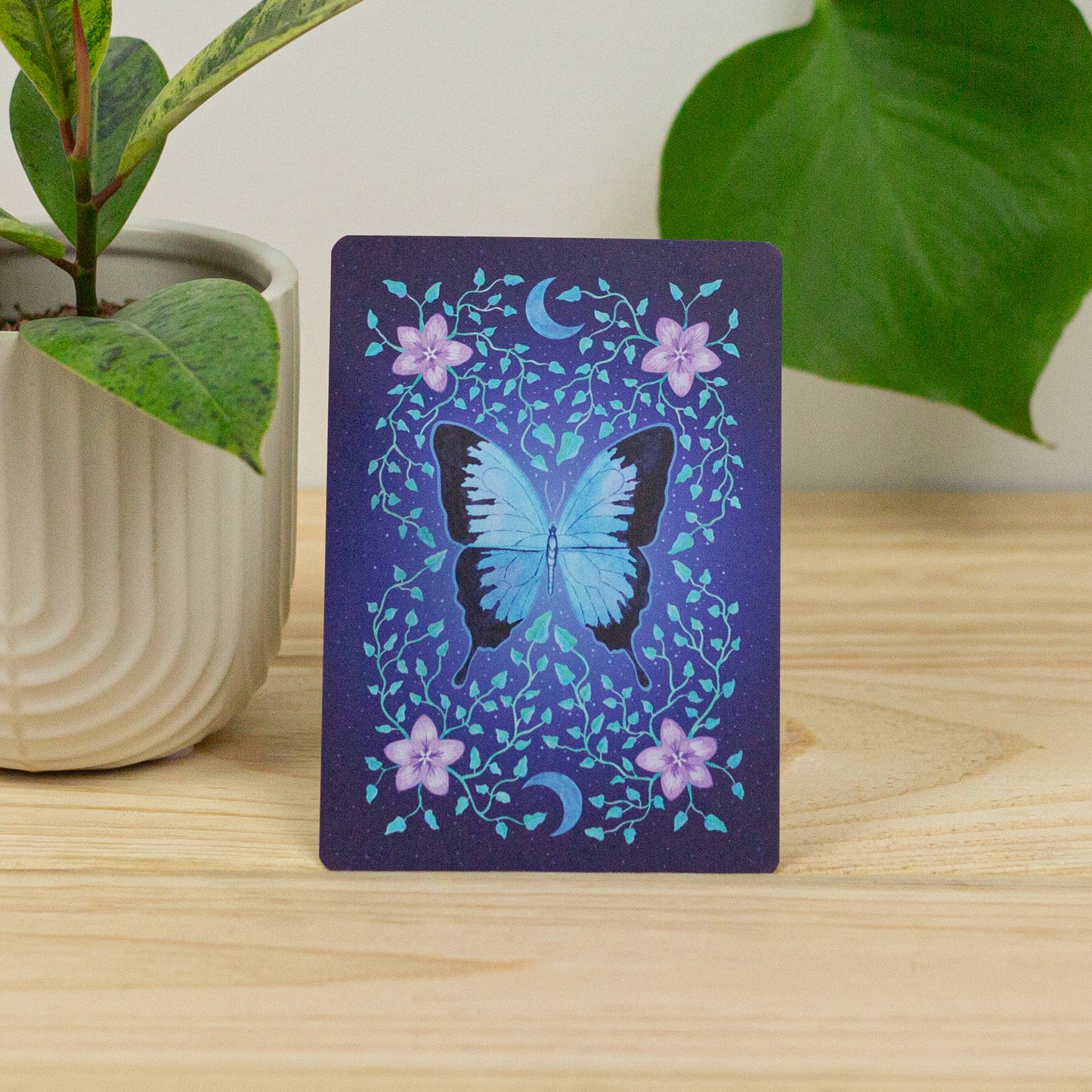 Ulysses Butterfly Postcard