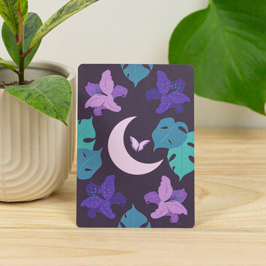 Midnight Serenity Postcard