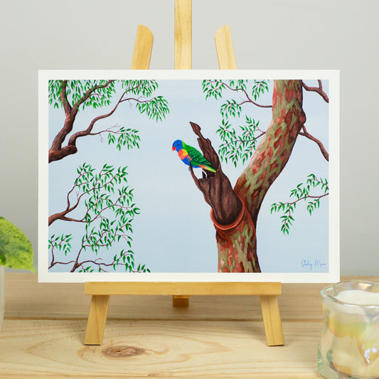 Lorikeet Art Print