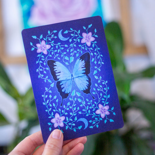 Ulysses Butterfly Postcard